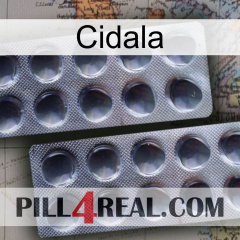 Cidala 31